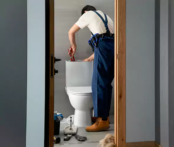 Professional Plumbers for Toilet Bowl Replacement in Goleta, CA: Schedule Affordable Toilet Replacement Services With Us