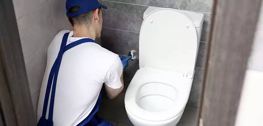 Toilet Lid Replacement in Goleta